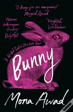 Capa do artigo Bunny