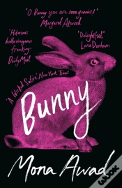 Capa do artigo Bunny