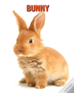 Capa do artigo Bunny