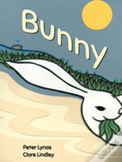 Capa do artigo Bunny