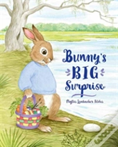 Bunny'S Big Surprise