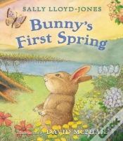 Capa do artigo Bunny