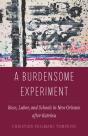 Burdensome Experiment - Preview