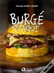 Capa do artigo Burge D