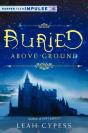 Buried Above Ground - Preview