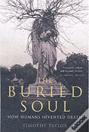 Capa do artigo Buried Soul