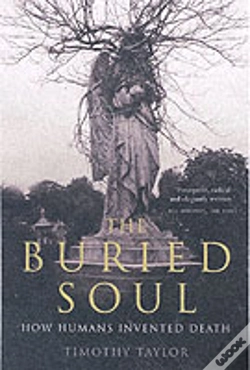Capa do artigo Buried Soul