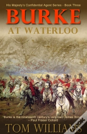 Capa do artigo Burke At Waterloo