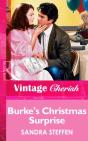 Burke'S Christmas Surprise - Preview