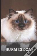Burmese Cat