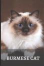 Burmese Cat - Preview