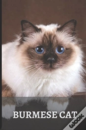 Capa do artigo Burmese Cat