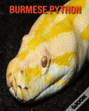 Burmese Python