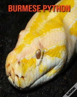 Capa do artigo Burmese Python