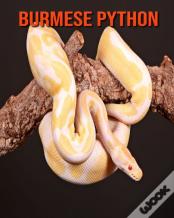 Burmese Python