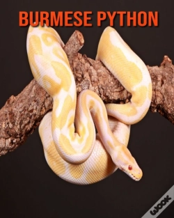 Capa do artigo Burmese Python