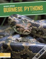 Burmese Pythons