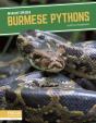 Burmese Pythons - Preview