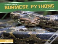 Burmese Pythons