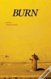 Capa do artigo Burn