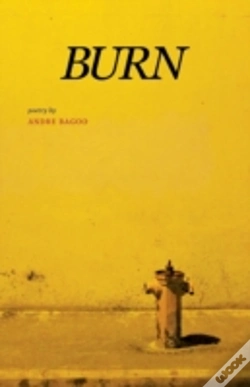 Capa do artigo Burn