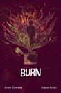 Burn - Preview