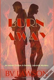 Capa do artigo Burn Away