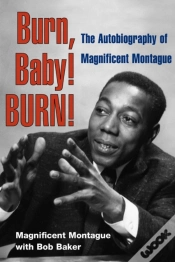Capa do artigo Burn, Baby! Burn!