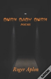 Capa do artigo Burn Baby Burn
