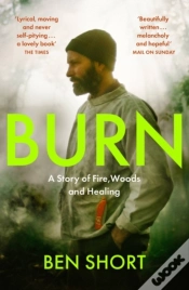 Capa do artigo Burn