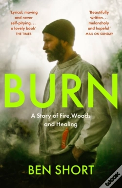 Capa do artigo Burn