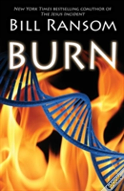 Capa do artigo Burn