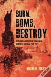 Capa do artigo Burn, Bomb, Destroy