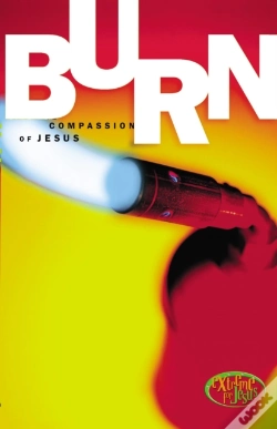 Capa do artigo Burn