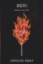 Burn - Preview