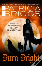 Capa do artigo Burn Bright