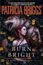 Burn Bright - Preview