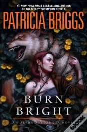 Capa do artigo Burn Bright