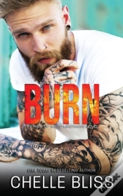 Capa do artigo Burn
