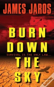 Capa do artigo Burn Down The Sky
