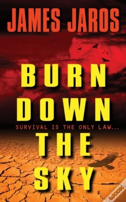 Capa do artigo Burn Down The Sky
