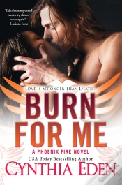 Capa do artigo Burn For Me