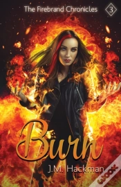 Capa do artigo Burn