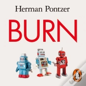 Capa do artigo Burn