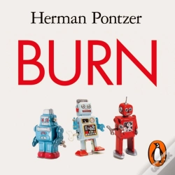 Capa do artigo Burn