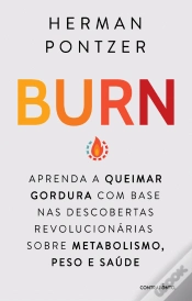 Capa do artigo Burn
