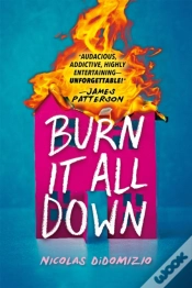Capa do artigo Burn It All Down
