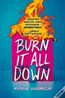 Capa do artigo Burn It All Down