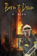 Burn It Down