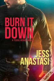 Capa do artigo Burn It Down
